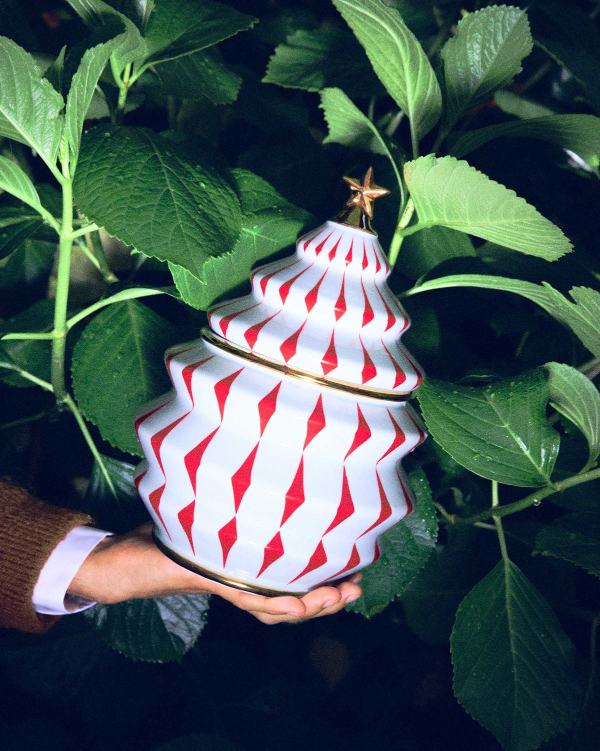 Alessi Delight biscottiera